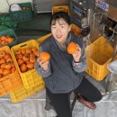 봄마중영농조합법인 네이버블로그