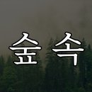 숲속과사람