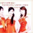 바람난고양이 이미지