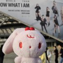 악동강아지 | 2025 공연 연말결산 : 너로 채운 순간들