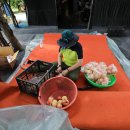 늘봄농장 이미지