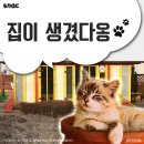 강동구청 이미지