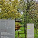 도천에너지 | [영덕숙소] 영덕 여행 숙소 추천, 숲스테이도천