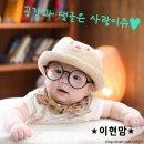 감나무사진관 이미지