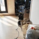 고싸움로 이미지