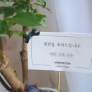 중2동-34 이미지