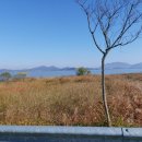 태신부동산 공인중개사사무소 이미지