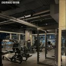 라인핏피티 이미지