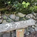 장전1038 | 제주 애월 감성 숙소 추천: 장전1038, 돌담과 자쿠지 그리고 고양이가 있는 힐링 천국 🐈🐾