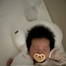 동삭로 | [ 일상 ] 낯설고 완벽한 행복