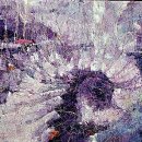 여주미술관 이미지