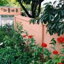 다솔마루 이미지