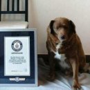 장수 공인중개사사무소 이미지