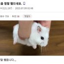 헬로우 - 원주시 무실로 29 | 헬로우