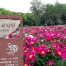 서울대공원, 테마공원-작약원과 영월초당(고향숲길) 이미지