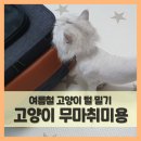 만점애견미용 이미지