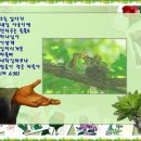 들풀사랑