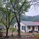 횡계고려의원 이미지