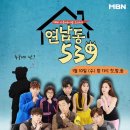 539 이미지