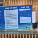 해녀박물관 | 제주 동쪽 가볼만한 곳 세화 해녀박물관 방문 솔직 후기