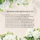 제니투어 | 제니벨르(구 디아뜨르) 드레스 투어 후기 계약 x