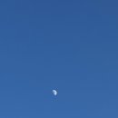 돌담너머바다 이미지