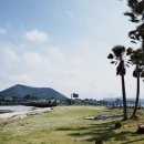 평대해수욕장 이미지