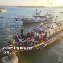 마검포항 뉴패밀리호 가의도 갑오징어 낚시_241102(토) 8물