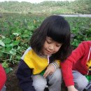 효동농장 이미지