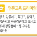 강릉시청/강릉시립중앙도서관 네이버블로그
