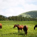 우람목장 이미지