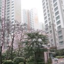 김용갑치과의원 이미지