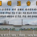 모텔승마 이미지