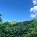 영주 국립산림치유원 「머물러도 숲여행 캠프」 후기｜발효 체험부터 숲속 힐링까지 1박 2일 솔직후기