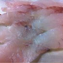 영광횟집 이미지