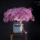 로우필름스튜디오 이미지