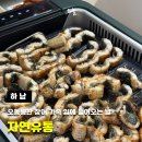 자연유통 - 유성구 | [하남] 장어 찐 맛집 자연유통 내돈내산 솔직후기 주차 포장