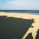 주문진해수욕장 주차장 화장실 이미지