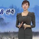 호아 이미지
