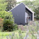 스테이만디 이미지