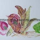 보타니컬아트예술문화교육협회 이미지