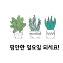 친절한해든약국 이미지