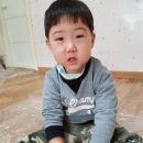비빔놀이 이미지