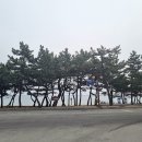 영덕대게집 이미지