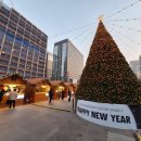 월량번역행정사사무소 이미지