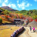 삼성궁 이미지