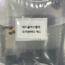 경동세탁소 | |부산 연산동 벨리타, Belita| 부산열대어 두번째 분양