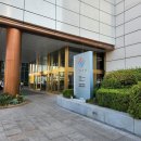 싱싱과일앤바사삭튀김제기점 | 1인 200달러가 가성비인 뷔페? 논란의 그곳 국내 최고가 뷔페 크랩 52 방문 상세 후기! (22.05.31)
