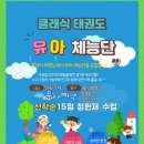 연현태권도 이미지