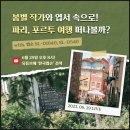 슈어매니지먼트 | 엡손 슈어랩 SL-D1040, SL-D540 궁금해? 봄별작가와 프린터로 여행 엽서 뽑아보자!